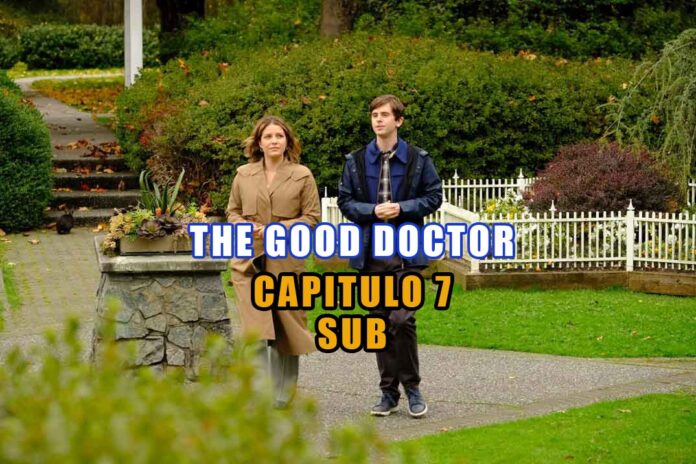 The Good Doctor Temporada 5 – Capítulo 7 EN LATINO