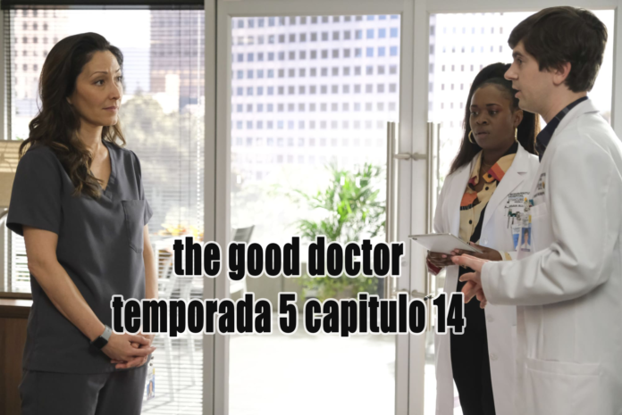 The Good Doctor Temporada 5 – Capítulo 14 EN LATINO