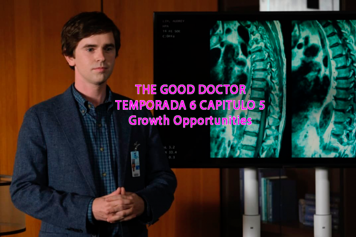 The Good Doctor Temporada 6 Capítulo 5 Growth Opportunities